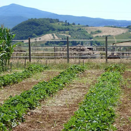 Bauernhof Agriturismo San Marco Rosignano Marittimo