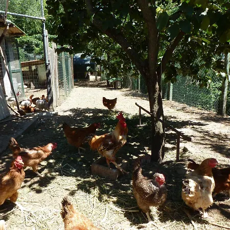 בית חווה Agriturismo San Marco